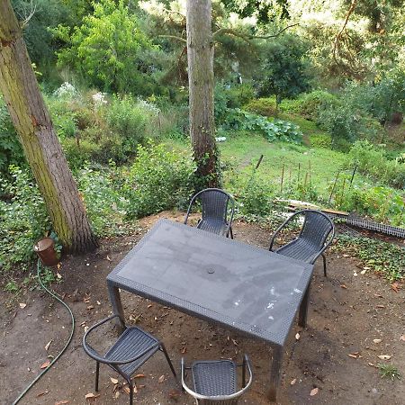Statenice Birch Cottage מראה חיצוני תמונה