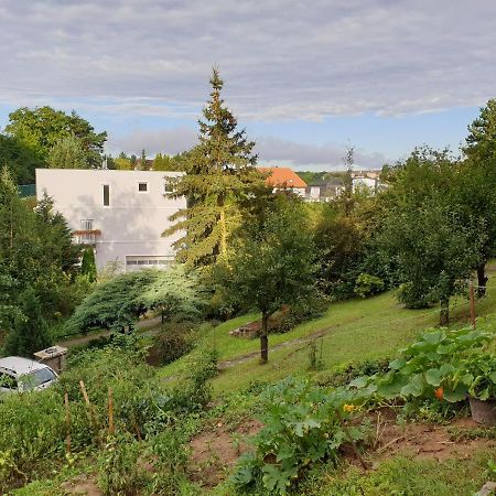Statenice Birch Cottage מראה חיצוני תמונה